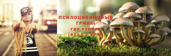 ешки Абаза