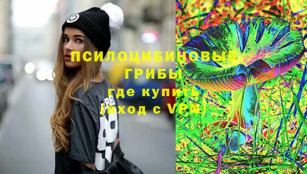 ешки Абаза